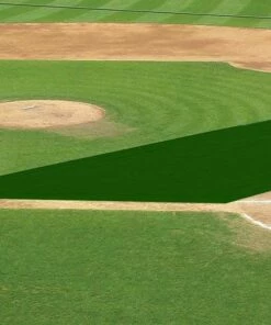 FieldSaver Mesh Infield Protector VCM9x12 Standard Mesh, 15'x20'x50' Forest Green