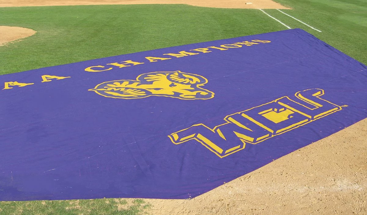 FieldSaver Mesh Infield Protector VCM9x12 Standard Mesh, 20'x24'x64' Royal 2 FieldSaver Mesh Infield Protector VCM9x12 Standard Mesh, 20'x24'x64' Royal - Image 2